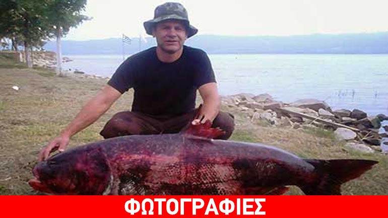 Ψάρι 65 κιλών αλιεύθηκε στη Βόλβη