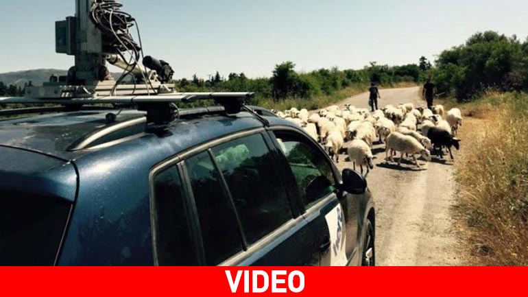 Πρόβατα σταμάτησαν ένα υπερσύγχρονο αυτοκίνητο στα Χανιά