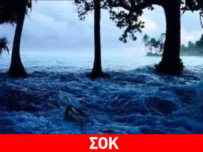 Εκβράζονται σκελετοί στρατιωτών του Β΄ Παγκοσμίου Πολέμου