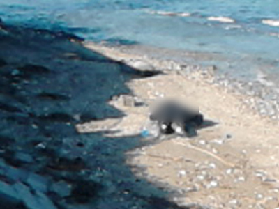 ΣΟΚ: Εκβράστηκαν πτώματα σε παραλίες της Μυτιλήνης