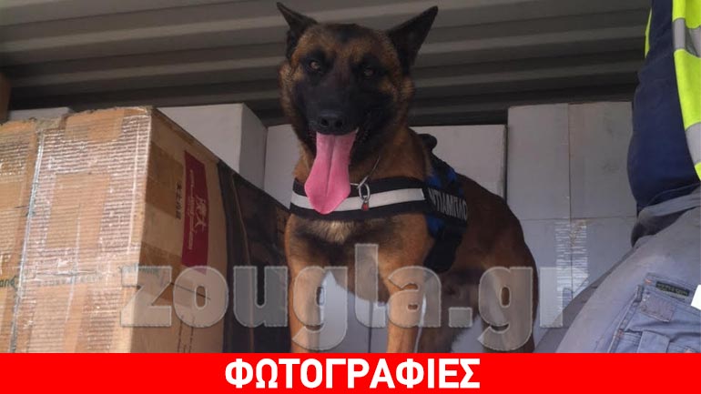 O «Diablo» μύρισε λαθραία τσιγάρα και το ΣΔΟΕ συνέλαβε τον «dealer»