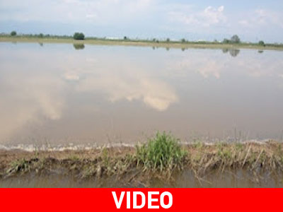 Βιβλική καταστροφή στην Αλεξάνδρεια Ημαθίας