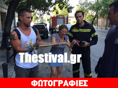 Τσάκωσαν το φίδι που «βόλταρε» στη Θεσσαλονίκη
