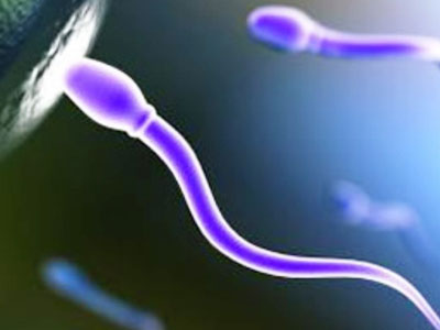 Ανδρική γονιμότητα και ποιότητα σπέρματος