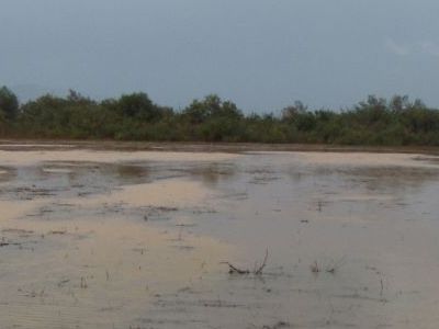 «Θα βαλτώσετε»