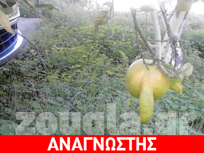 Όταν η φύση δημιουργεί…
