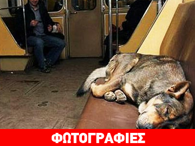 Οι «αδέσποτοι» επιβάτες του Μετρό