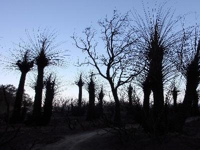 Στο ίδιο έργο θεατές… τα τελευταία 25 χρόνια