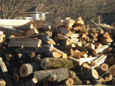 Ποια μέτρα προτείνονται για την πάταξη της λαθροϋλοτομίας; Ποια μέτρα προτείνονται για την πάταξη της λαθροϋλοτομίας;