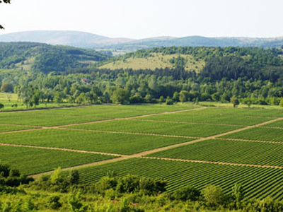Επιβολή Φ.Α.Π. σε ακίνητα, οικόπεδα και χωράφια!