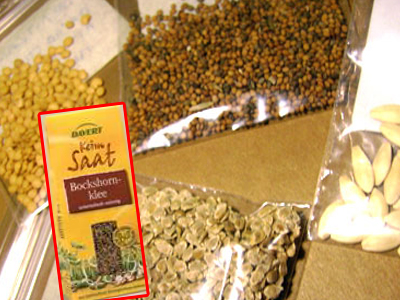 Συναγερμός για σπόρους με E.coli