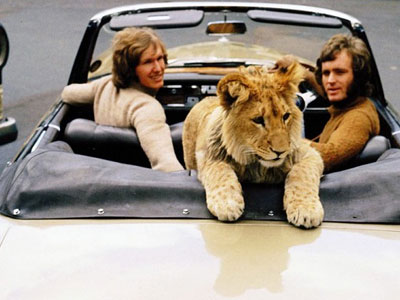 «Λουκέτο» στο υποκατάστημα για pets του Harrod’s