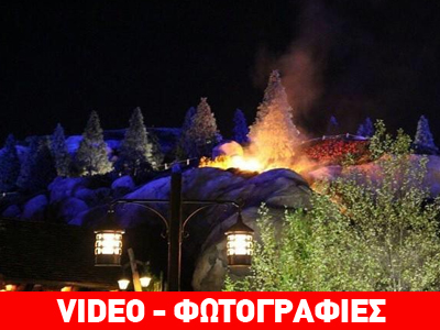 Φλόριντα: Πήρε φωτιά τρενάκι της Disney World