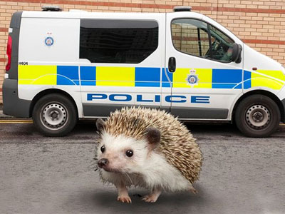 Οι πιο παράξενες κλήσεις που έχουν γίνει στην αστυνομία