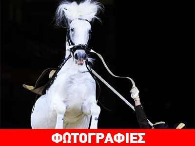 Μ. Βρετανία: Το άλογο που μιμείται τον Πήγασο