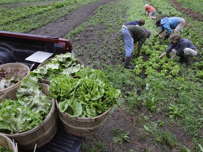 Επίδομα 1.000 ευρώ για 5.000 οικογένειες αγροτών
