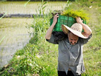 ΟΓΑ: Προγράμματα για την ενίσχυση των αγροτών