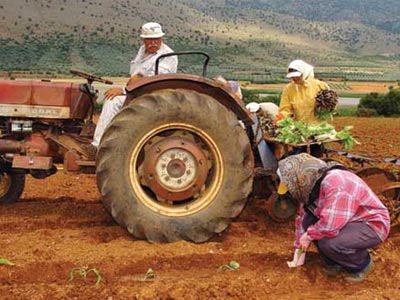 Άμεσα η καταβολή του ειδικού φόρου πετρελαίου στους αγρότες