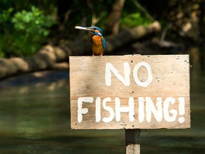Απαγόρευση αλιείας στην Κεντρική Μακεδονία