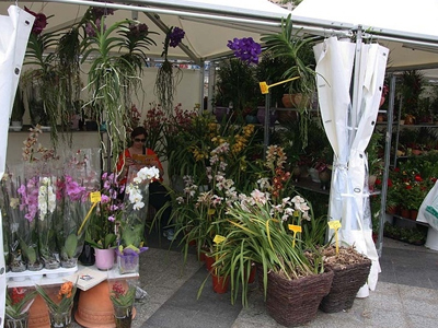 Εγκαινιάστηκε η ανθοκομική έκθεση του δήμου Αθηναίων