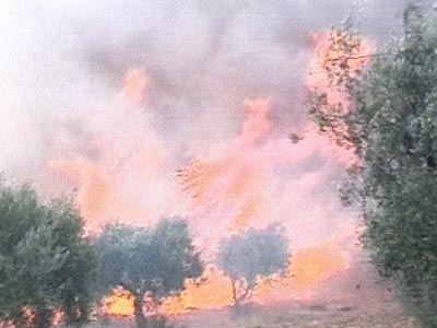 Φωτιά στην Εθνική Οδό Αθηνών – Λαμίας