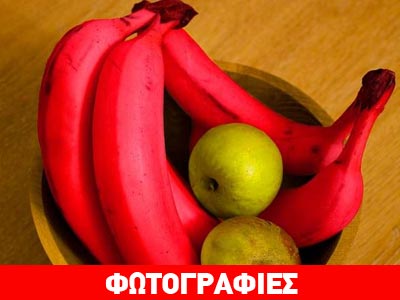 Οι… κόκκινες μπανάνες!
