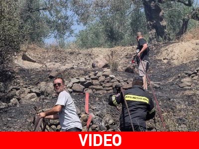 Πυρόπληκτη περιοχή η Βιάννος