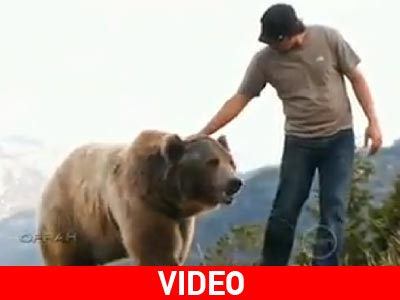 Ο καλύτερος φίλος… η αρκούδα