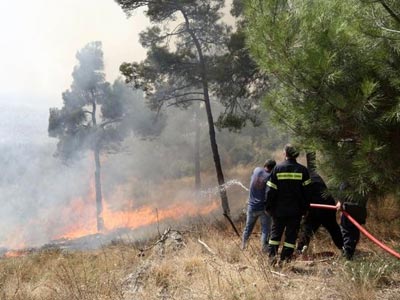 Πυρκαγιά στην Κάρυστο