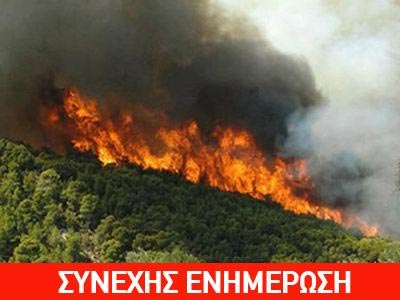 Πυρκαγιά στην Κορινθία