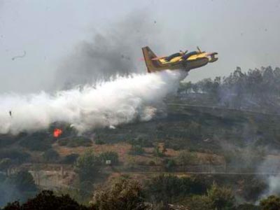 Δασική πυρκαγιά στη Σπάρτη