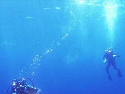 Νεκρός ανασύρθηκε ο δύτης