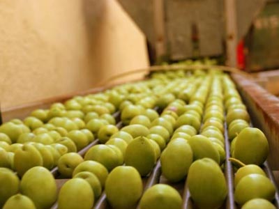 Ελιές και κρασιά με τουριστικό σήμα στις αγορές του εξωτερικού