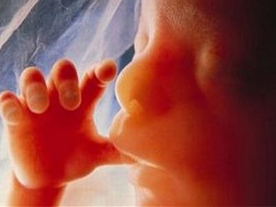 Τα μωρά αρχίζουν να μαθαίνουν τη μητρική γλώσσα τους πριν γεννηθούν! Τα μωρά αρχίζουν να μαθαίνουν τη μητρική γλώσσα τους πριν γεννηθούν!