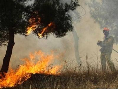 Πυρκαγιά στα Φιλιατά Θεσπρωτίας