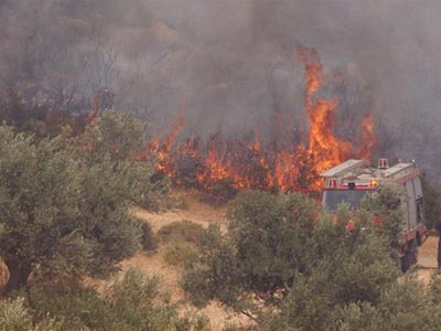 Υπό έλεγχο η φωτιά στο Στεφάνι Κορινθίας