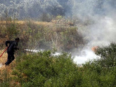 Πυρκαγιά στη Δάριζα Τροιζηνίας