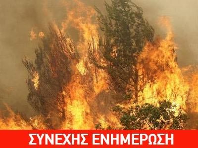 Φωτιά στην Τήνο