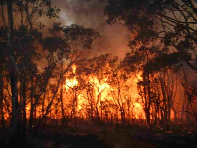 Τέσσερις νεκροί από φωτιά στα Σκόπια