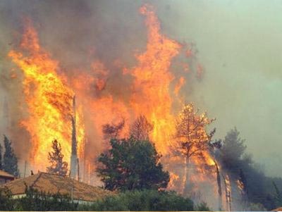 Υπό μερικό έλεγχο η φωτιά στα Μέγαρα