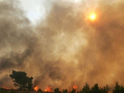 Συνελήφθη ύποπτος για εμπρησμoύς στη Ρόδο