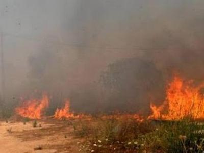 Υπό έλεγχο η φωτιά στη Λακωνία