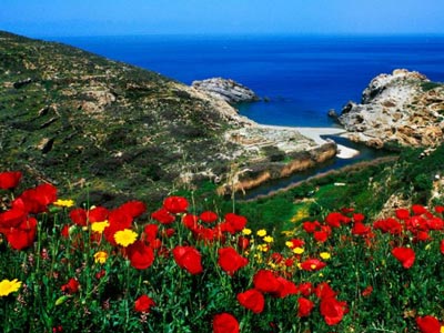 Αφιέρωμα στη μακροζωία των κατοίκων της Ικαρίας