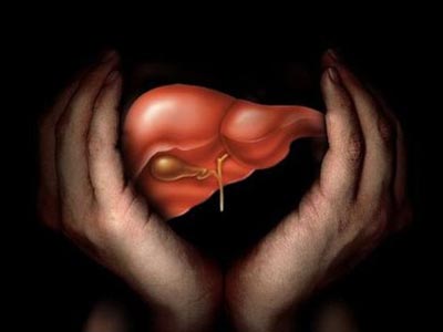 Για πρώτη φορά δημιουργήθηκε ανθρώπινο ήπαρ εργαστηρίου Για πρώτη φορά δημιουργήθηκε ανθρώπινο ήπαρ εργαστηρίου