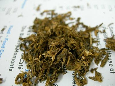 Συλλήψεις για ναρκωτικά στην Κομοτηνή