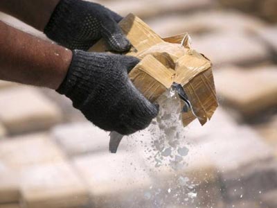 Φύτευαν… κοκαΐνη σε χωράφι