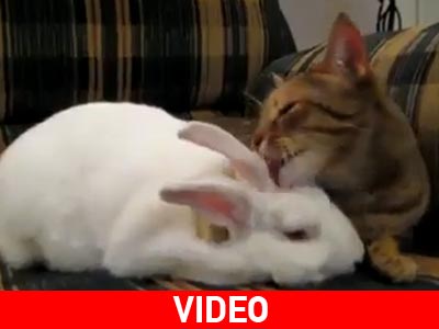 Όταν η αγάπη περισσεύει…