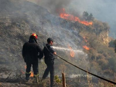 Κρήτη: Σε εξέλιξη φωτιά στις Βασιλειές
