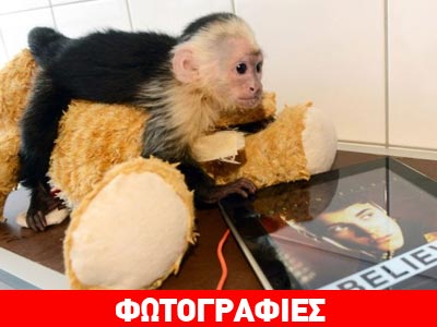 Ένας μήνας προθεσμία για τη μαϊμού του Μπίμπερ