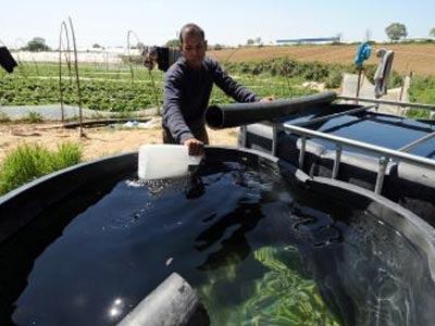 Διαμαρτυρία στο Υπ. Εργασίας για τη Μανωλάδα